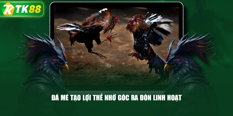 Đá Mé Tạo Lợi Thế Nhờ Góc Ra Đòn Linh Hoạt