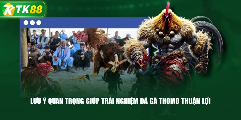 Lưu Ý Quan Trọng Giúp Trải Nghiệm Đá Gà Thomo Thuận Lợi