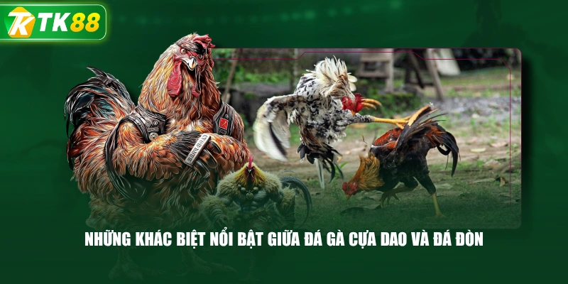 Những Khác Biệt Nổi Bật Giữa Đá Gà Cựa Dao Và Đá Đòn